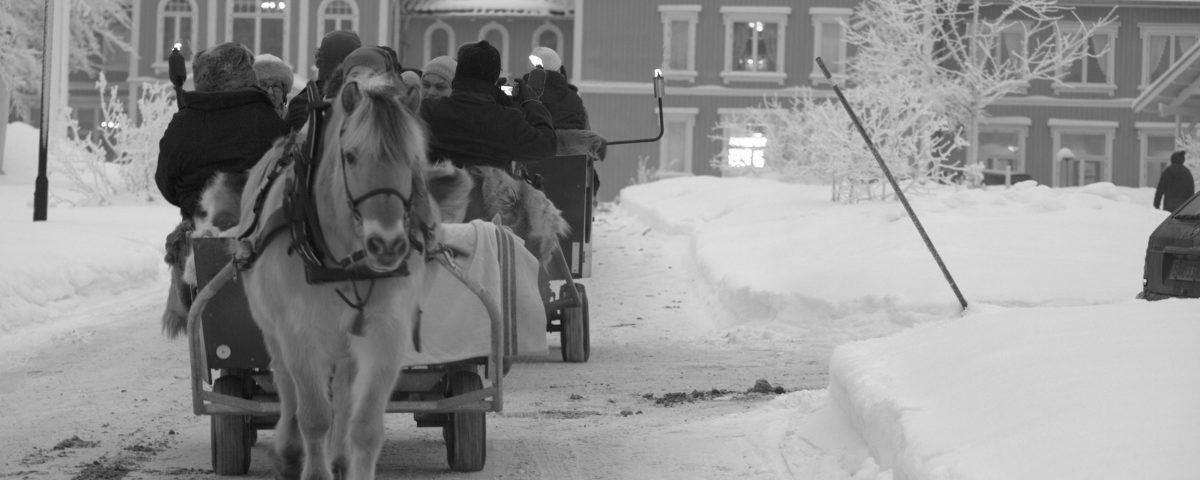 Kanefart på Losby Gods. Et hyggelig avbrekk i konferanseoppholdet