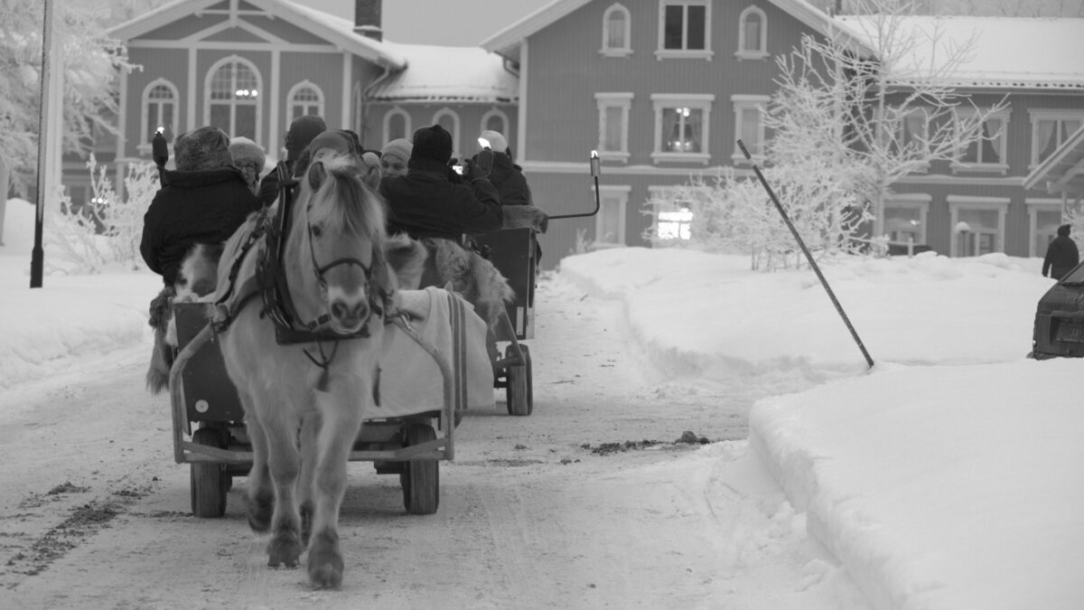 Kanefart på Losby Gods. Et hyggelig avbrekk i konferanseoppholdet