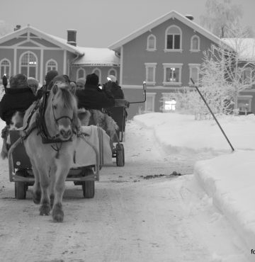 Kanefart på Losby Gods. Et hyggelig avbrekk i konferanseoppholdet