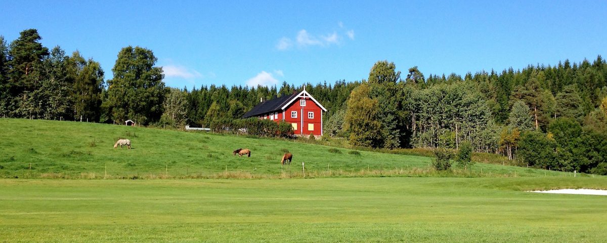 Losbyveien Finstadjordet