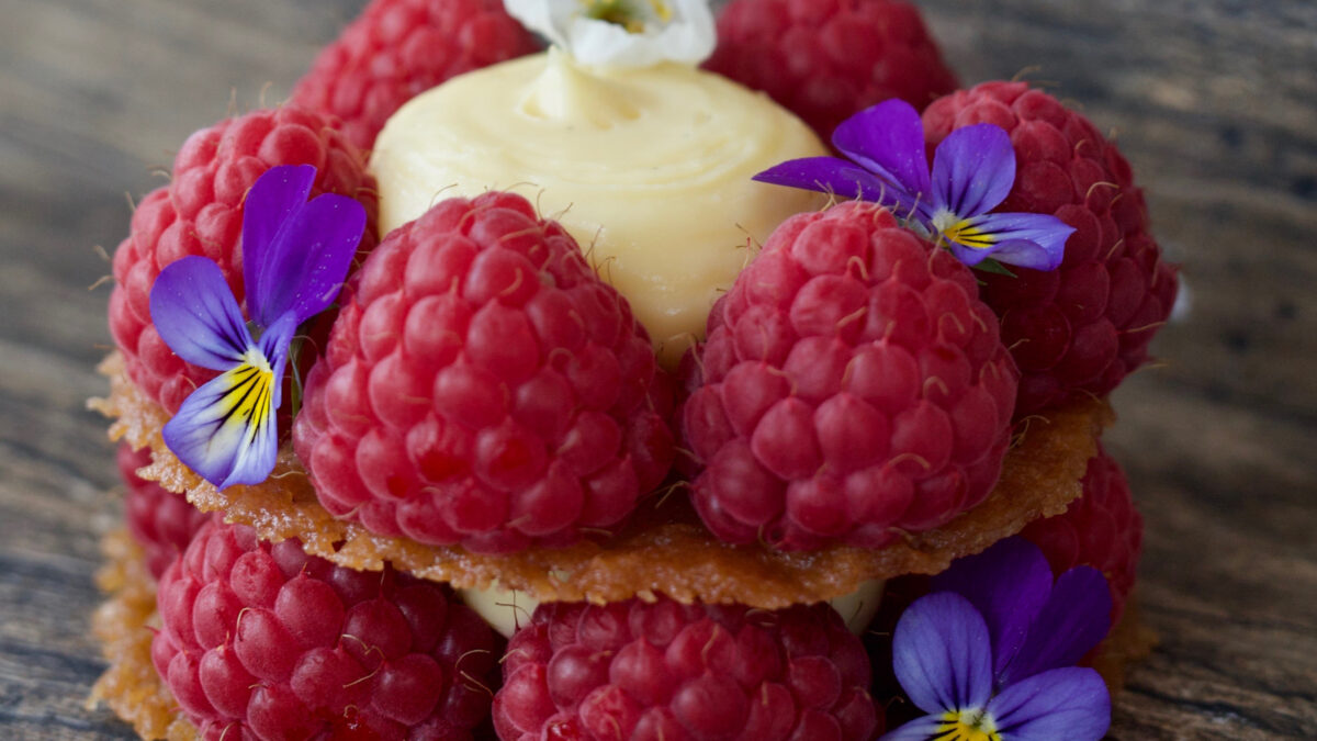 Bringebærdessert Losby Gods