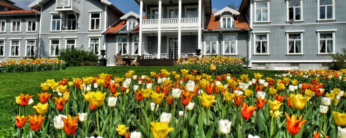 Tulipaner foran den gamle godsbygningen på Losby Gods